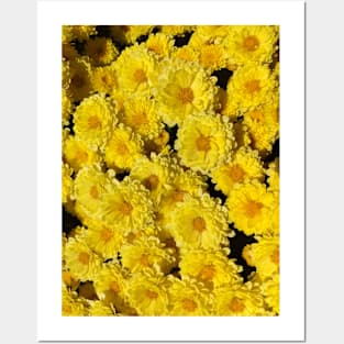 mums yellow mother's day mom Posters and Art